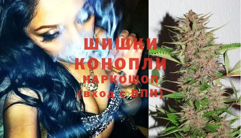 Бошки Шишки White Widow  продажа наркотиков  Ковылкино 